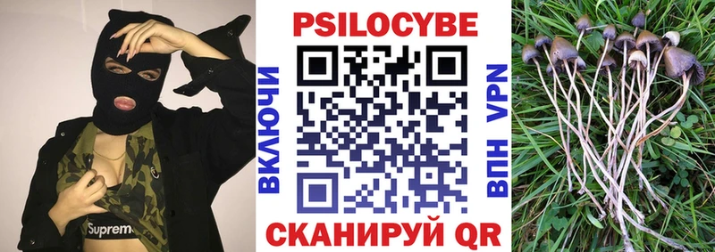 Псилоцибиновые грибы мухоморы  Купить  Рославль 